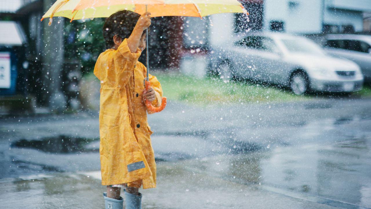 Heavy Rain Hits Johor as Voters Head to the Polls