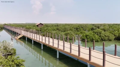 Qatar Enhances Mangrove Conservation with 14 Sq Km of Forests