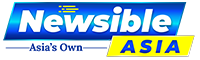 Newsible Logo